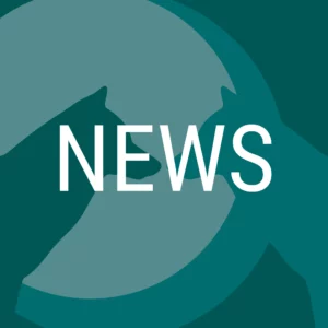 EWA Icon News